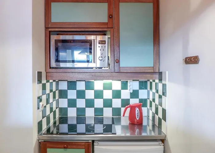 Le Chamois Blanc-10 By Interhome Appartement Chamonix